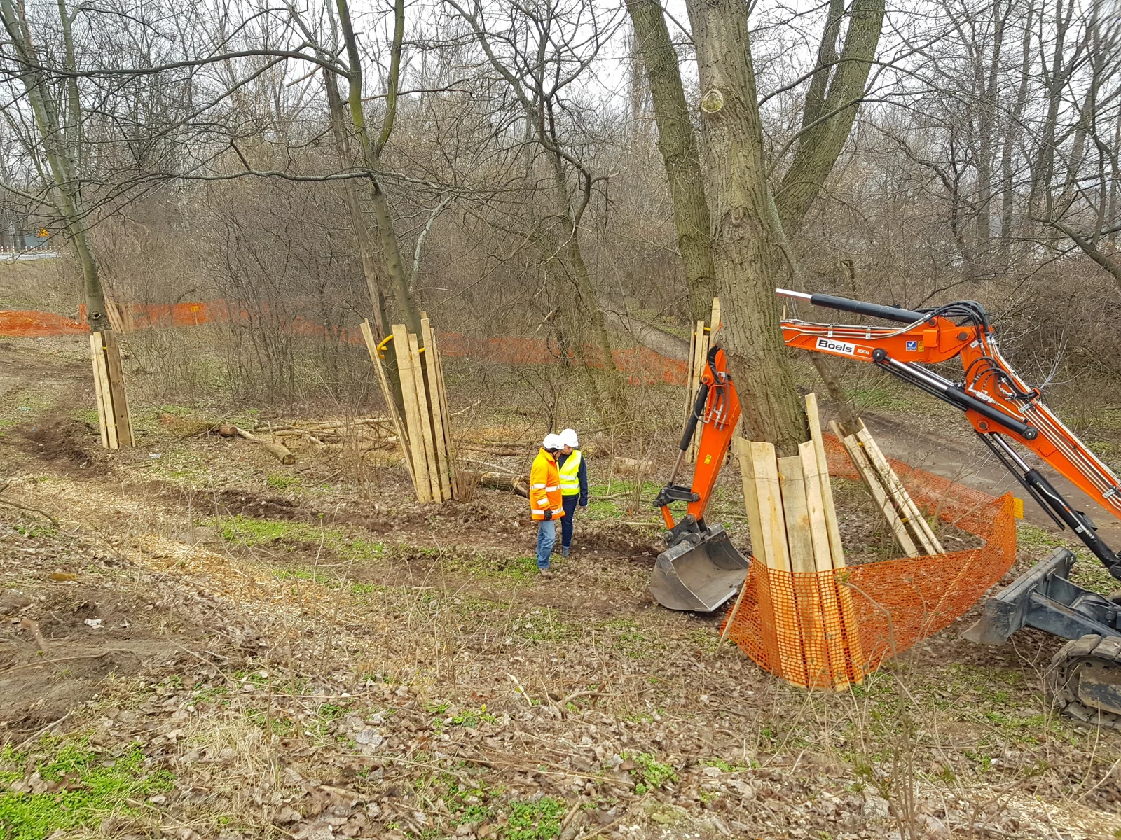 Prace ziemne i zabezpieczenia przy drzewach na Wybrzeżu Helskim