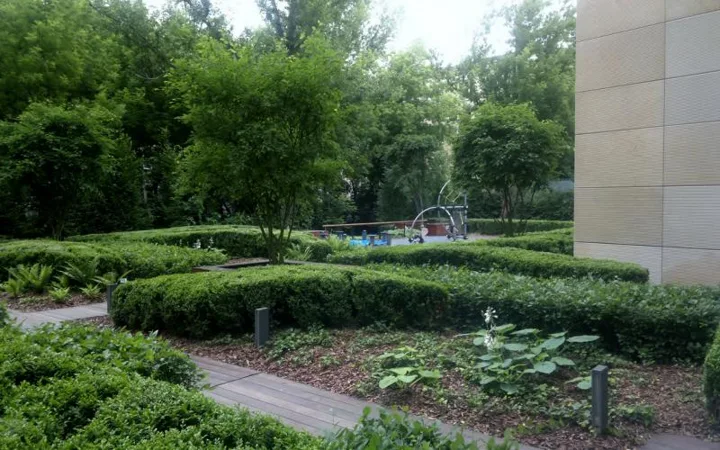 Zieleń patio Klimt House w Warszawie, fot. Jarema Andrzej Rabiński