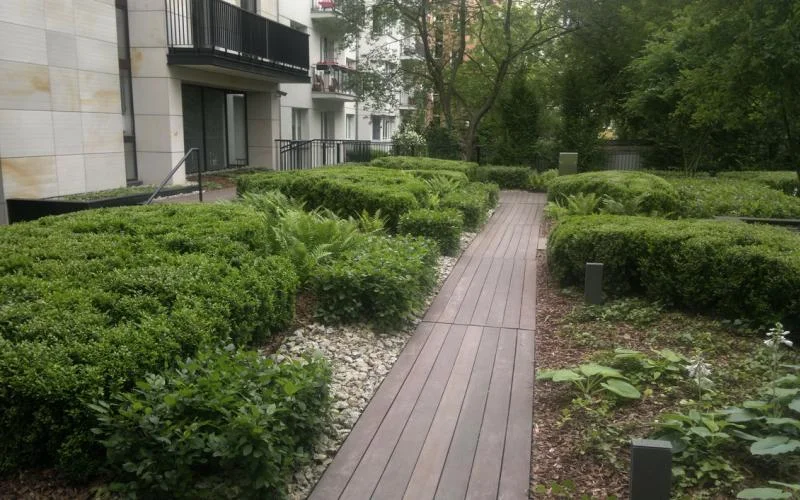Drewniana ścieżka wśród nasadzeń przy Klimt House