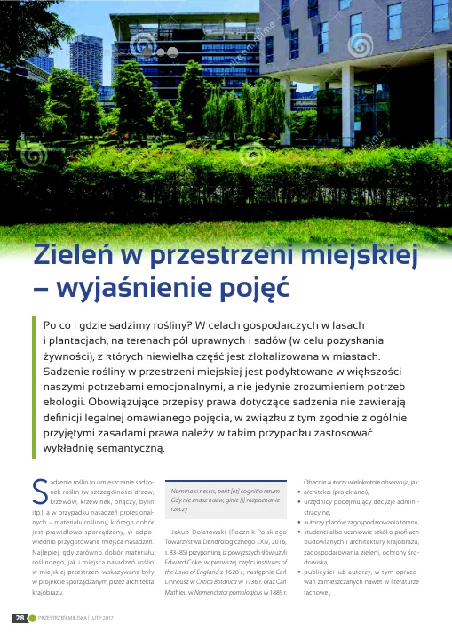 Okładka lub pierwsza strona: Zieleń na przestrzeni miejskiej — wyjaśnienie pojęć