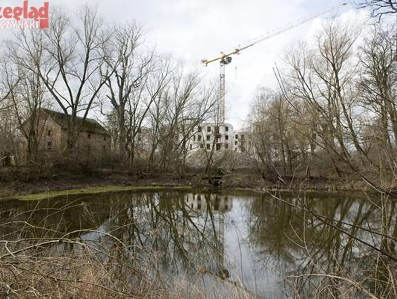 Park i staw w Zamieniu